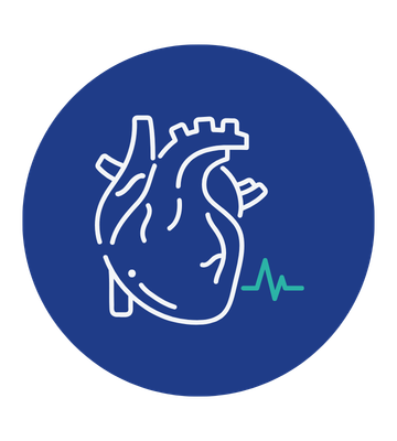 Cardiovascular