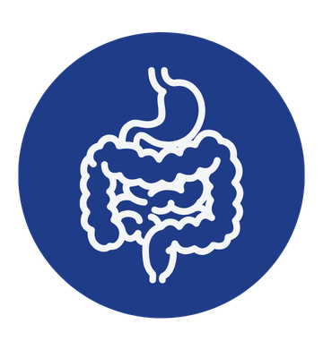 Digestivo e intestino